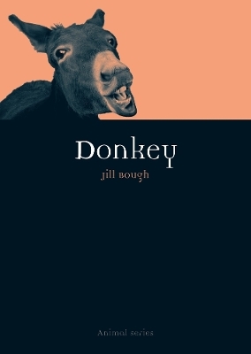 Donkey - Jill Bough