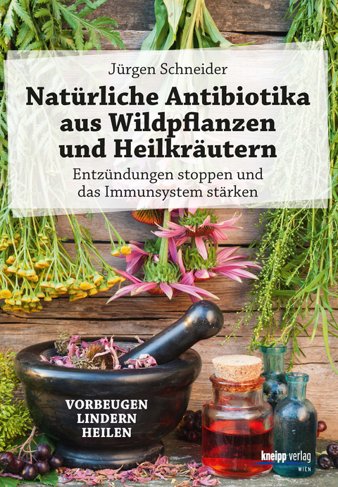 Nat&uuml;rliche Antibiotika aus Wildpflanzen und Heilkr&auml;utern - J&uuml;rgen Schneider
