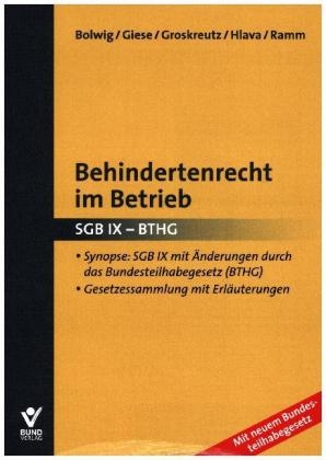 Behindertenrecht im Betrieb - Nils Bolwig, Henning Groskreutz, Daniel Hlava, Maren Giese, Diana Ramm