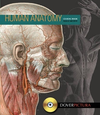 Human Anatomy - Alan Weller