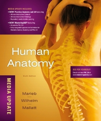 Human Anatomy, Media Update - Elaine N. Marieb, Patricia Brady Wilhelm, Jon B. Mallatt