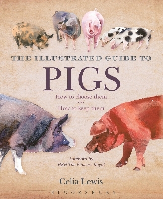 The Illustrated Guide to Pigs - Celia Lewis
