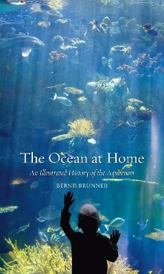 The Ocean at Home - Bernd Brunner