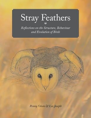 Stray Feathers - Penny Olsen, Leo Joseph
