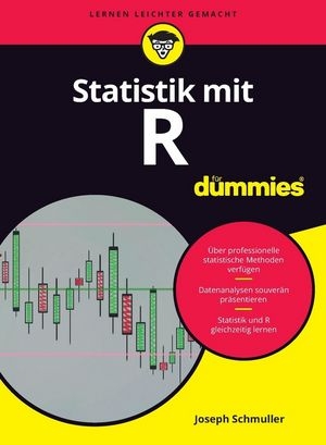 Statistik mit R für Dummies - Joseph Schmuller