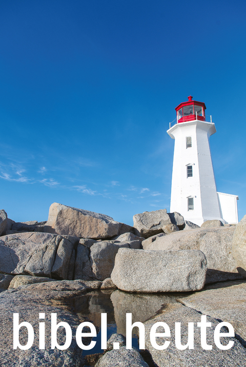 Ne&Uuml; bibel.heute -Taschenausgabe- Motiv Leuchtturm