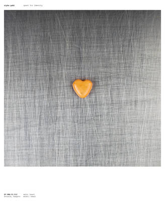 Quest For Identity - Ziya Gafic