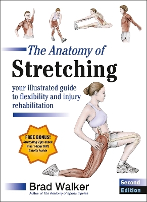 The Anatomy of Stretching - Brad Walker