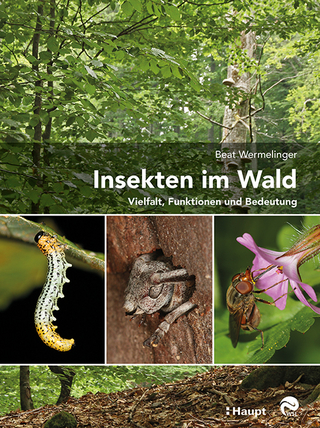 Insekten im Wald
