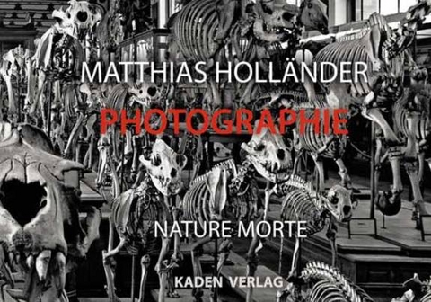 Photographie - Matthias Holl&auml;nder