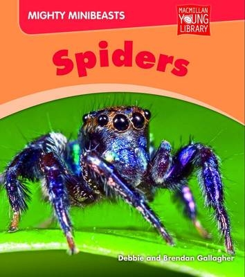 Mighy Minibeasts Spiders