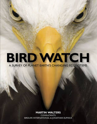 Bird Watch - Martin Walters