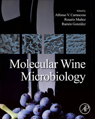 Molecular Wine Microbiology - 