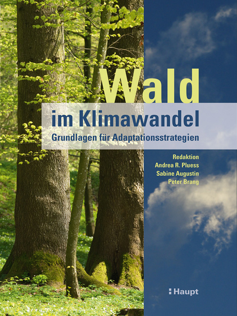 Wald im Klimawandel - 