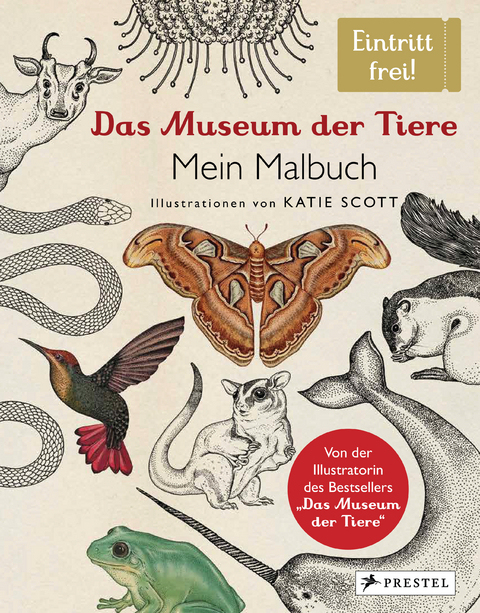 Das Museum der Tiere. Mein Malbuch - Katie Scott