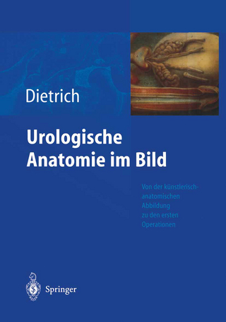 Urologische Anatomie im Bild