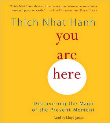 Cd - Thich Nhat Hanh, Sherab Chodzin Kohn
