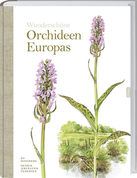 Wunderschöne Orchideen Europas - Bo Mossberg, Henrik Pedersen