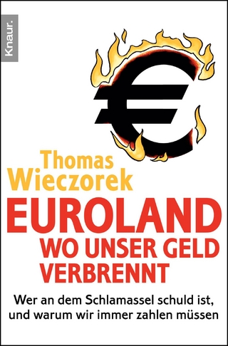 Euroland: Wo unser Geld verbrennt