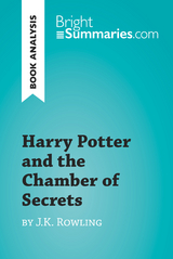 Harry Potter and the Chamber of Secrets by J.K. Rowling (Book Analysis) - Bright Summaries