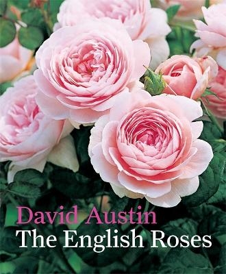 The English Roses - David Austin