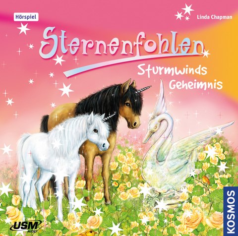 Sternenfohlen (Folge 8): Sturmwinds Geheimnis - Linda Chapman