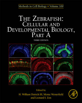 The Zebrafish: Cellular and Developmental Biology, Part A - 