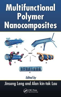 Multifunctional Polymer Nanocomposites - 