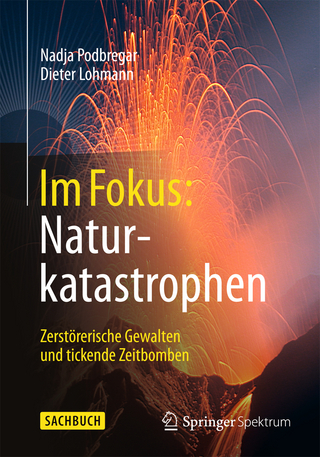 Im Fokus: Naturkatastrophen