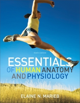 Essentials of Human Anatomy and Physiology with Essentials of Interactive Physiology CD-ROM - Elaine N. Marieb