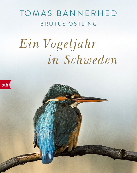 Ein Vogeljahr in Schweden - Tomas Bannerhed, Brutus &Ouml;stling