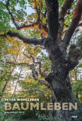 Baumleben 2018
