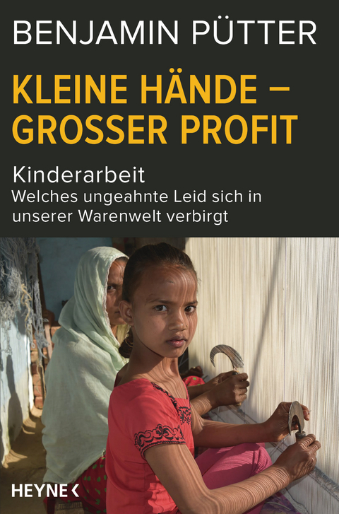 Kleine H&auml;nde &ndash; gro&szlig;er Profit - Benjamin P&uuml;tter, Dietmar B&ouml;hm
