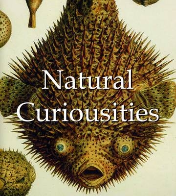 Natural Curiousities -  Parkstone Press