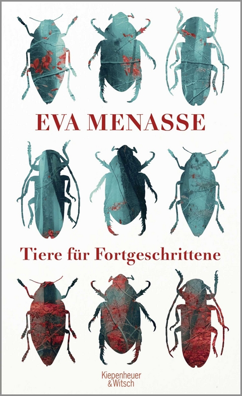 Tiere f&uuml;r Fortgeschrittene - Eva Menasse