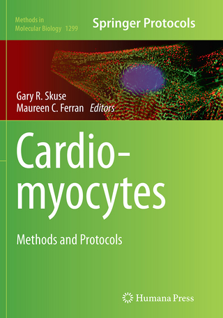Cardiomyocytes