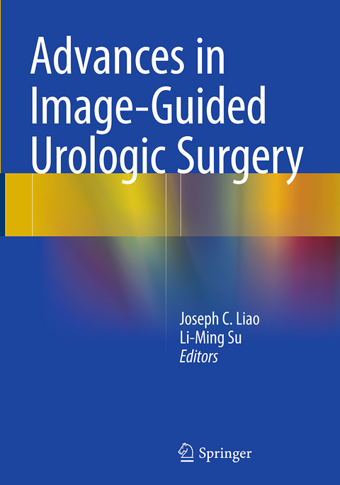 Advances in Image-Guided Urologic Surgery - 