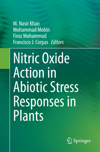 Nitric Oxide Action in Abiotic Stress Responses in Plants