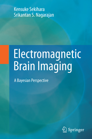 Electromagnetic Brain Imaging