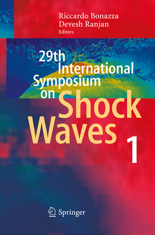 29th International Symposium on Shock Waves 1