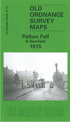 Pelton Fell and Newfield 1915 - David Butler