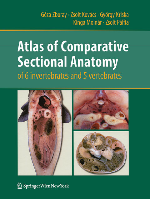Atlas of Comparative Sectional Anatomy of 6 invertebrates and 5 vertebrates - G&eacute;za Zboray, Zsolt Kov&aacute;cs, Gy&ouml;rgy Kriska, Kinga Moln&aacute;r, Zsolt P&aacute;lfia
