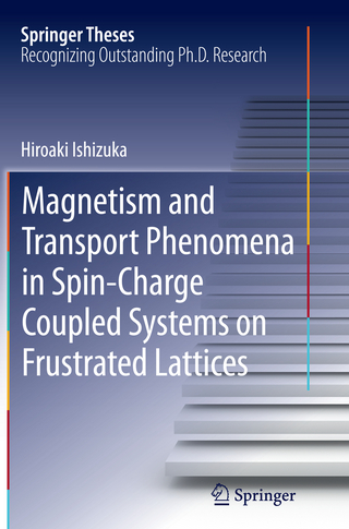 Magnetism and Transport Phenomena in Spin-Charge Coupled Systems on Frustrated Lattices