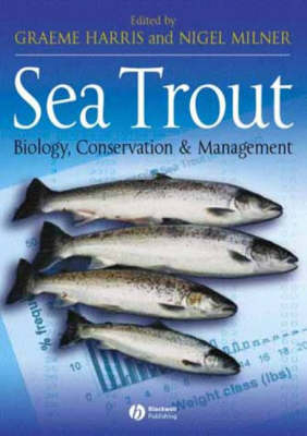 Sea Trout - 