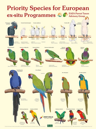 Poster EAZA Parrot-TAG