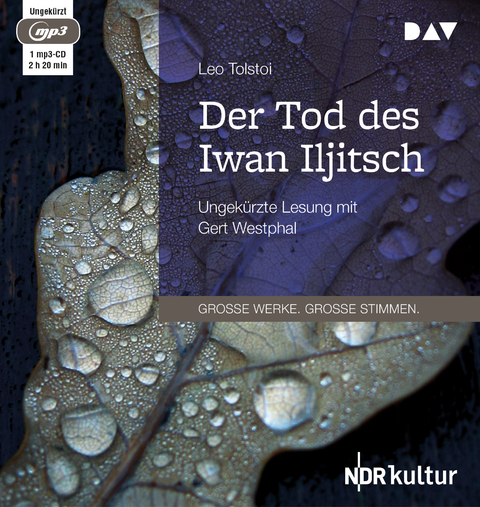 Der Tod des Iwan Iljitsch - Leo Tolstoi