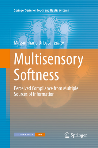Multisensory Softness
