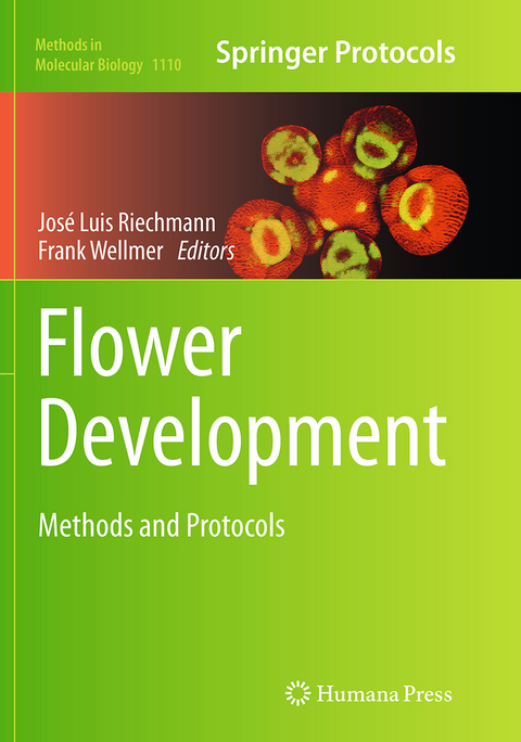Flower Development - 