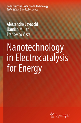 Nanotechnology in Electrocatalysis for Energy
