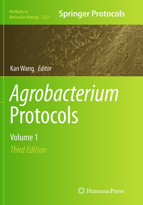 Agrobacterium Protocols - 